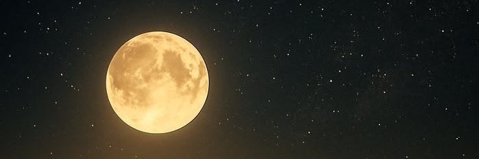 baby Huỳnh's banner