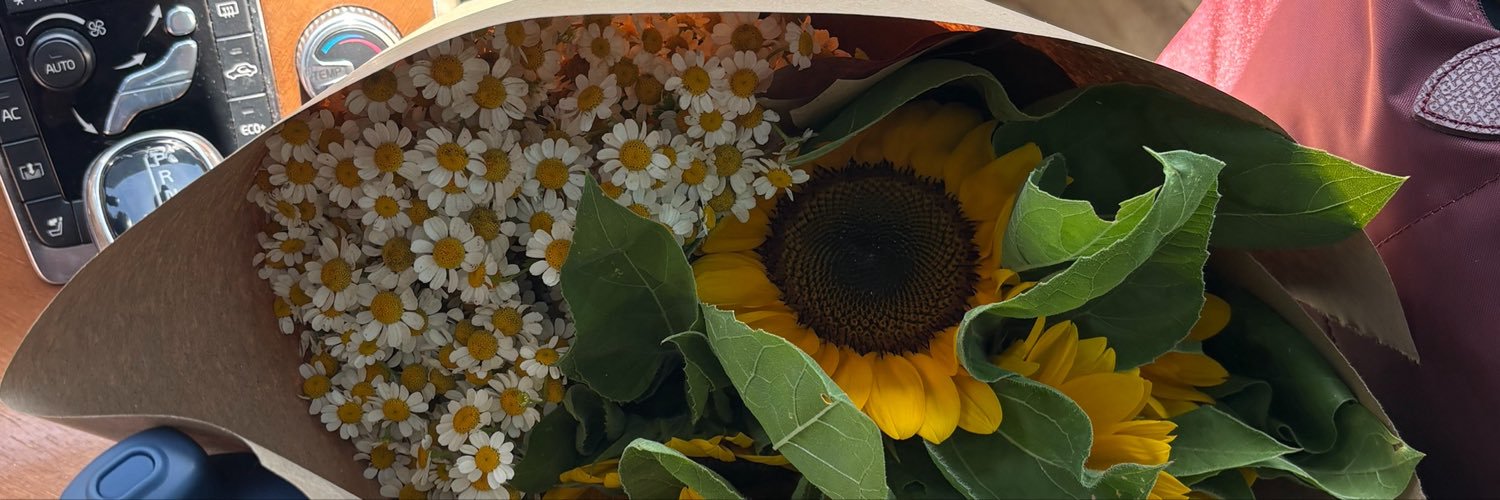 Daniella D's banner