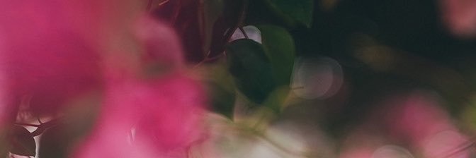 冴木柚葉1st写真集's banner