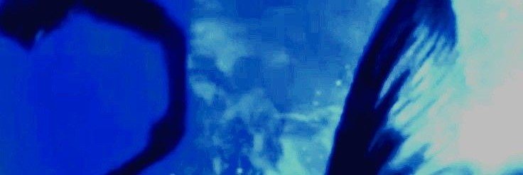 Siren's banner