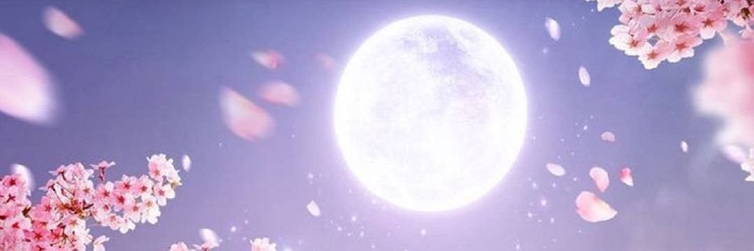 The Diva's banner