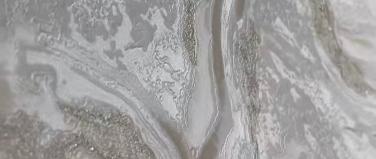 Precious's banner