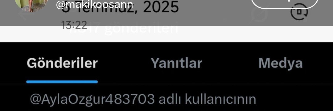 Selin's banner