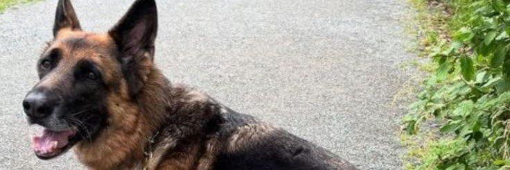Barbara M Boyd 2.0's banner