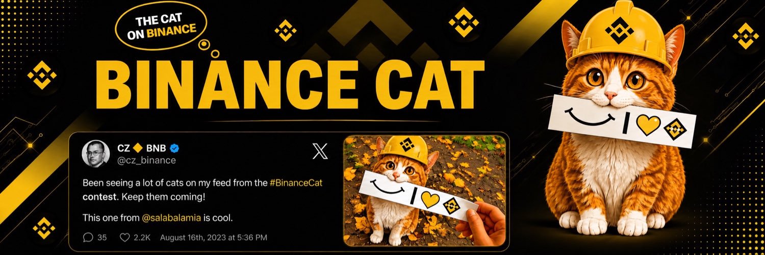 Binance Cat - $BNBCAT's banner