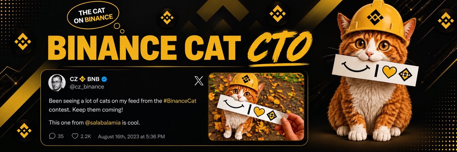 Binance Cat - $BNBCAT's banner