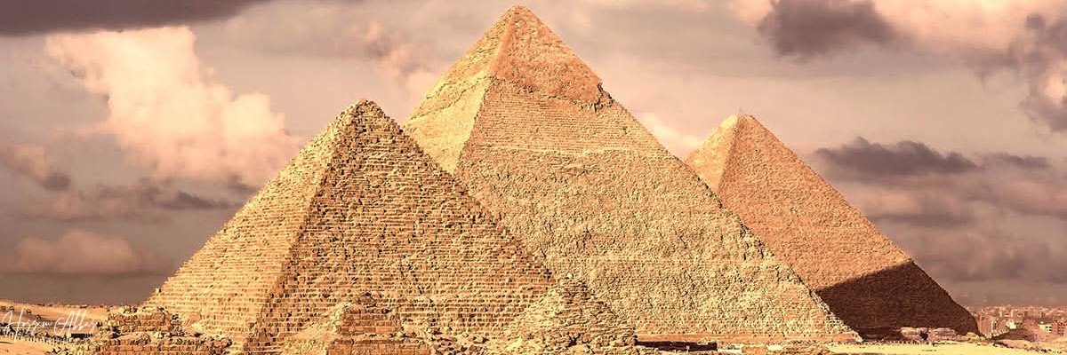 سلمى العشري's banner