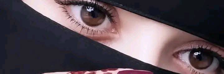حياة الامورة's banner