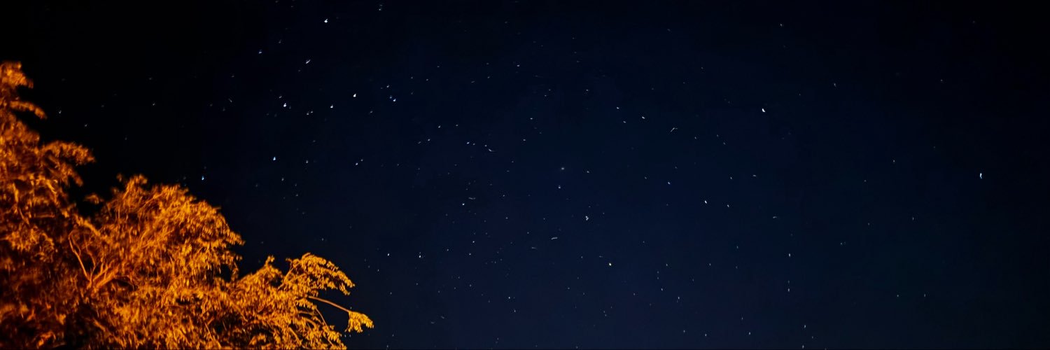 ✨💜Shena💜✨'s banner