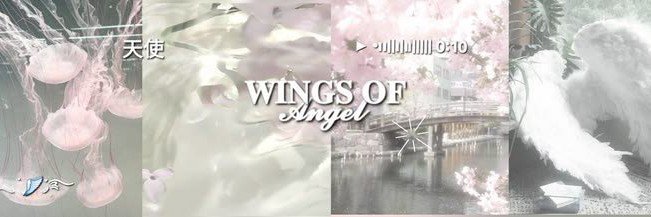 bella's banner