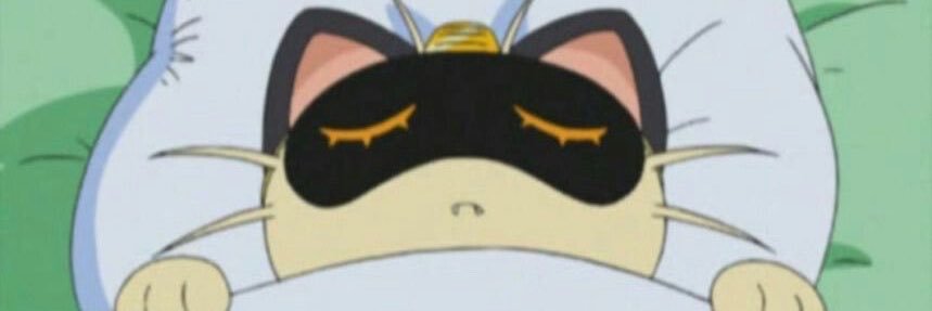acervo meowth's banner