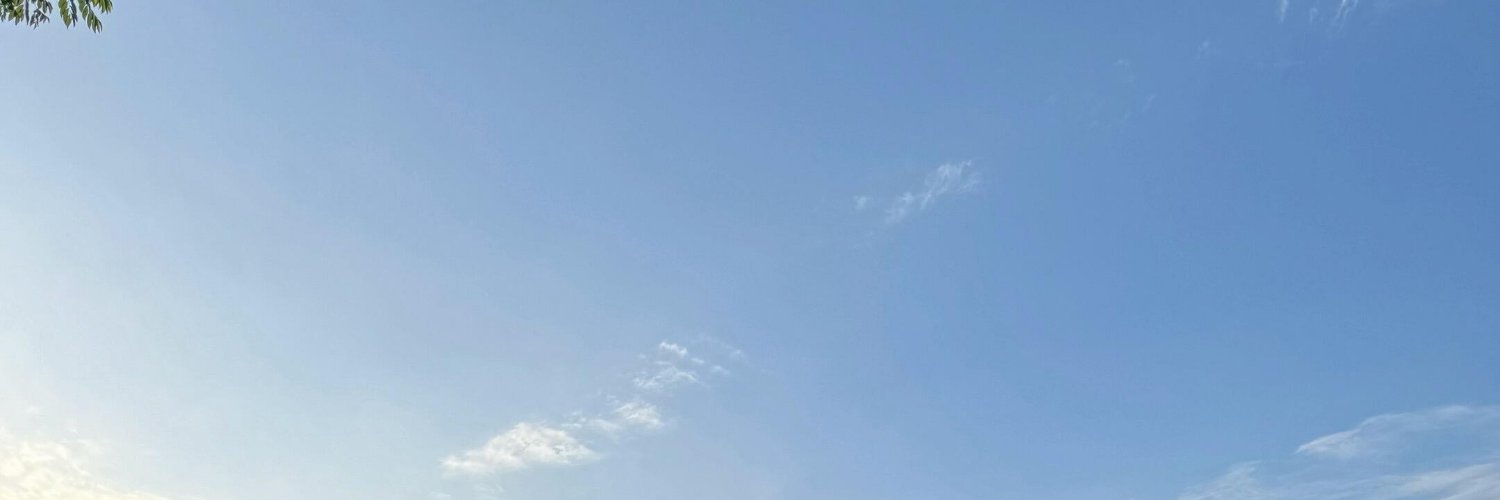 新手夫妻大罗's banner