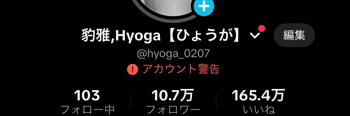 豹雅,Hyoga【ひょうが】's banner