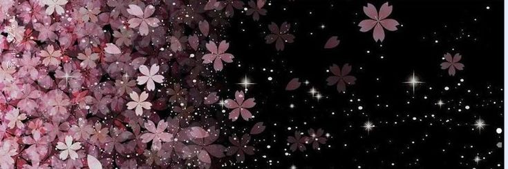 Sarah's banner