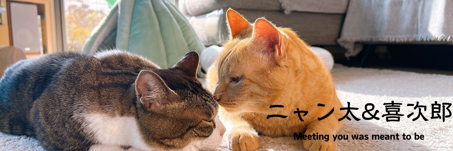 茶トラのニャン太とキジ白の喜次郎's banner