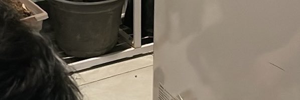 CLAY T-BOY 🏳️‍⚧️'s banner
