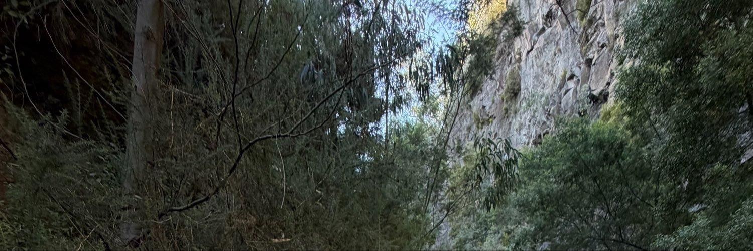 Melissa's banner