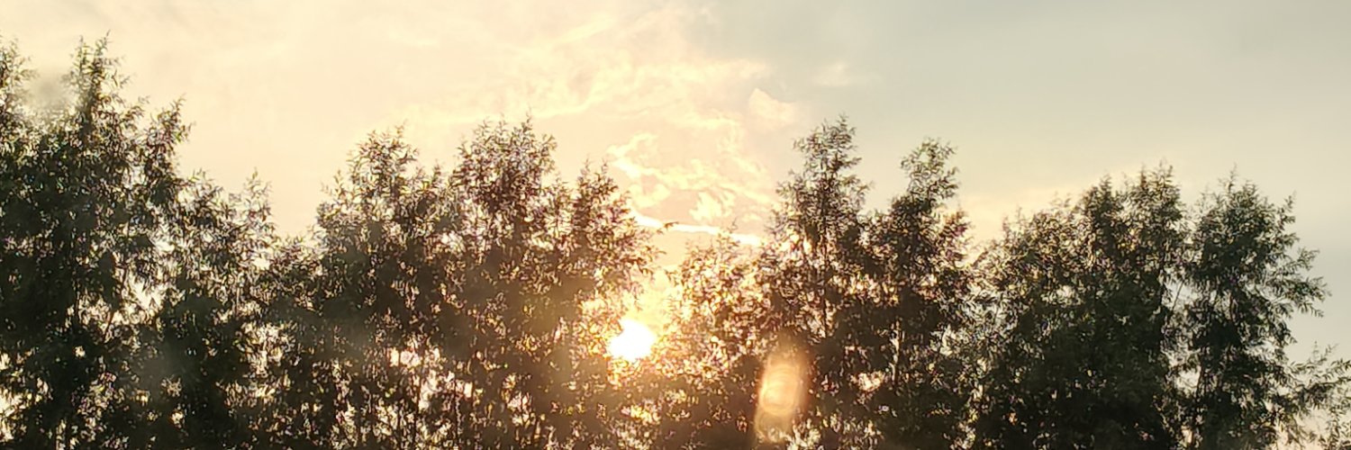 山城老炮's banner