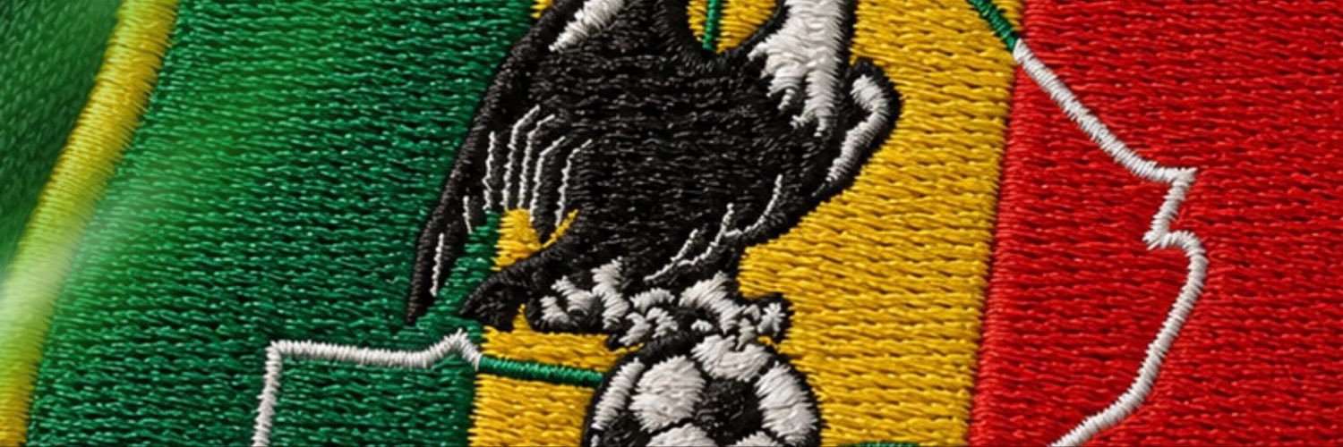 Équipes du Mali 🇲🇱's banner