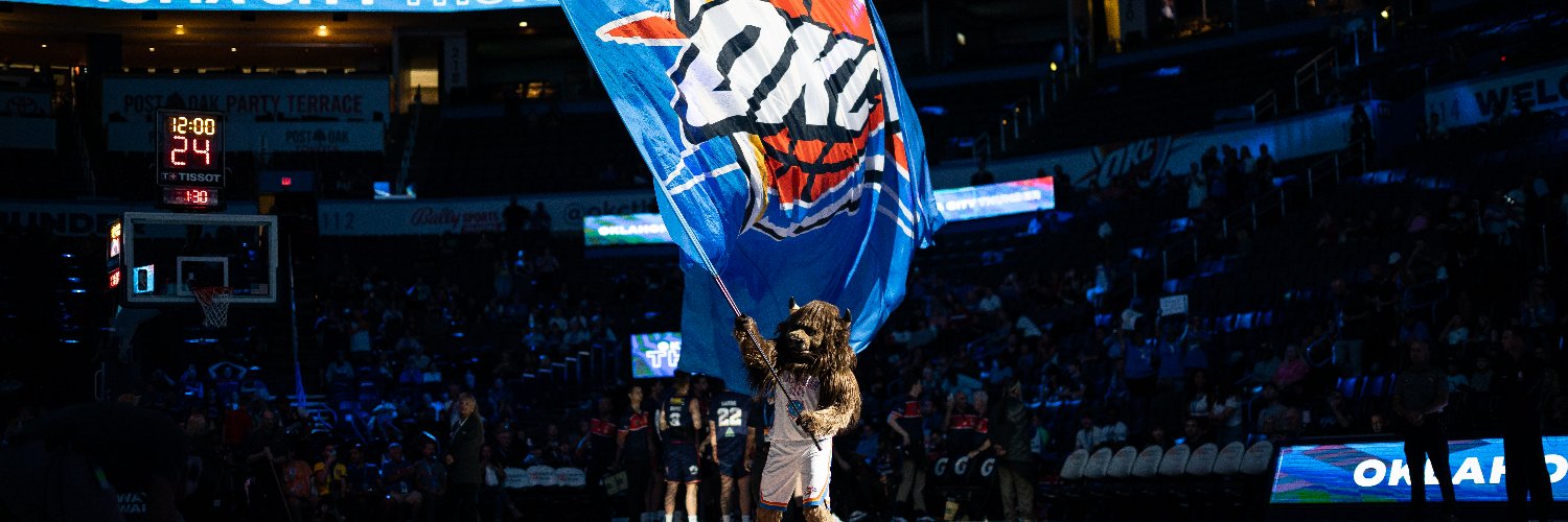 Rumble the Bison's banner
