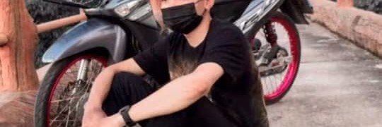 N's banner