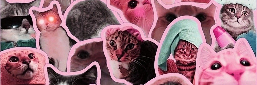 Ana Alicia's banner