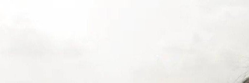 devina's banner