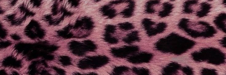 Kylie's banner