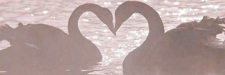 cumslut's banner