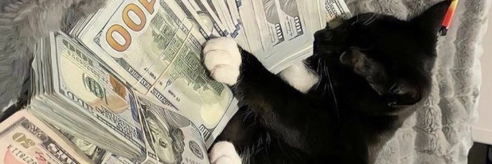 $ky's banner