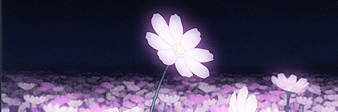 maddy's banner