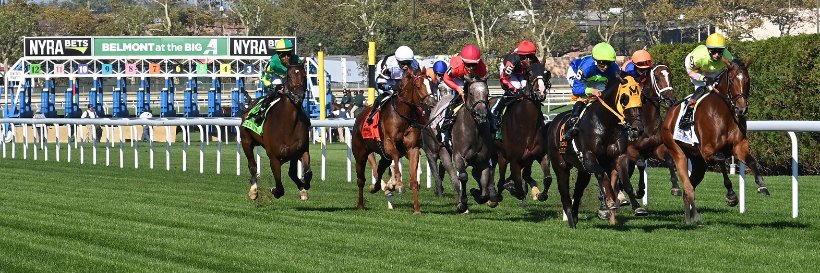 NYRA (🗽)'s banner