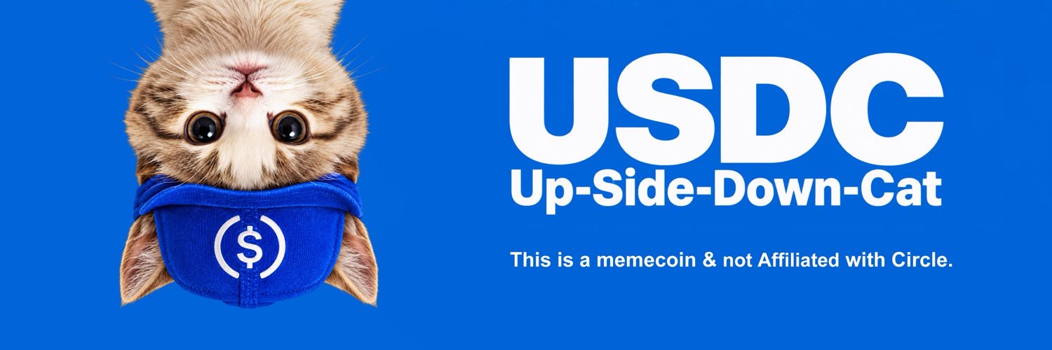 UpSide Down Cat's banner