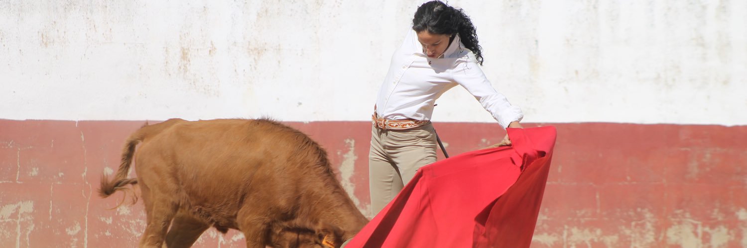 Verónica Ruiz's banner