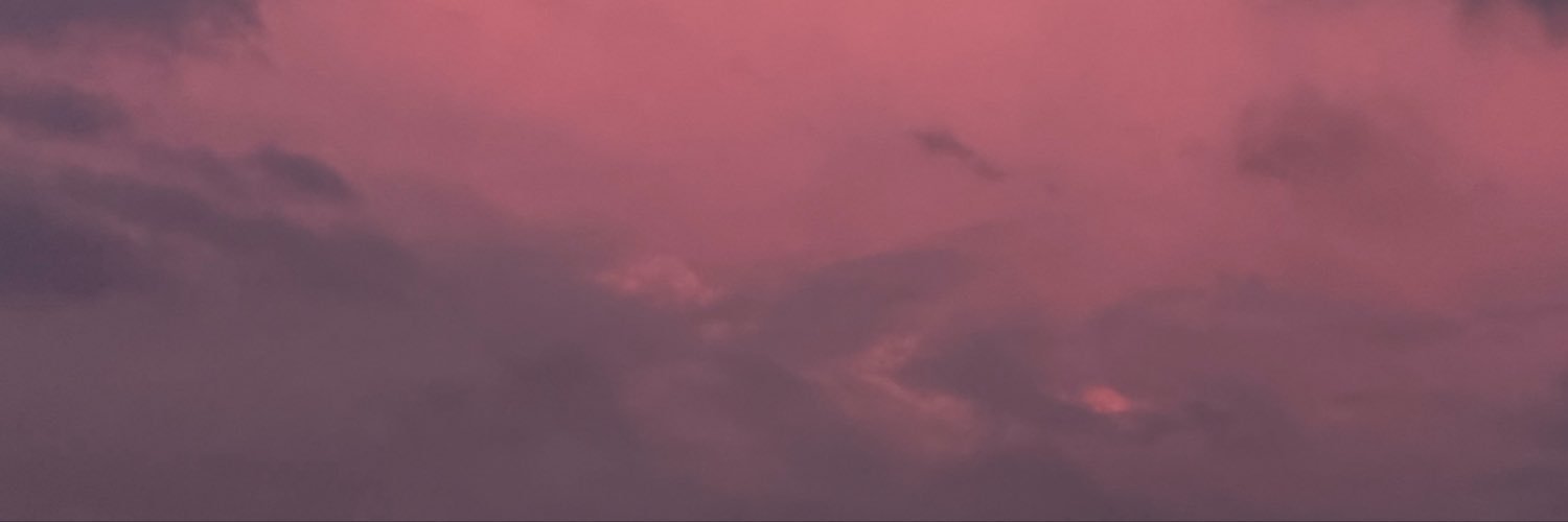 Reislin's banner