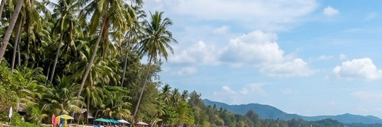 ploy's banner
