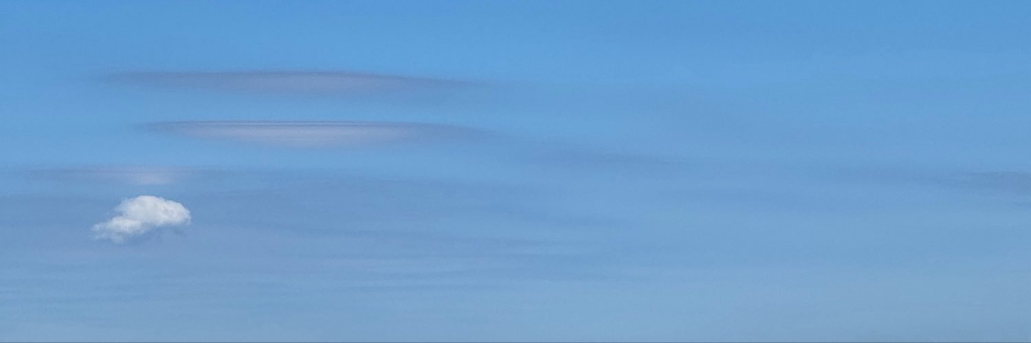 ransom's banner