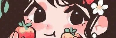 h's banner