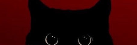 🇸🇩's banner