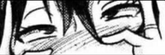 Lillian Holli's banner