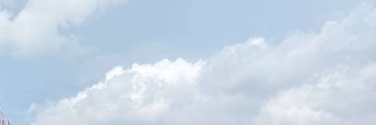 HFNM's banner