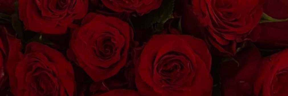ROSA 🌷's banner