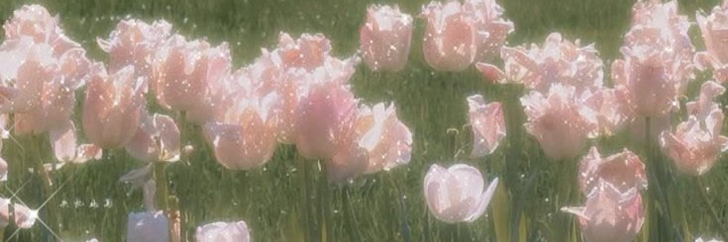 Poppy Clarke's banner