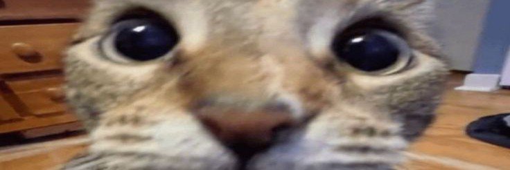 rusdi's banner