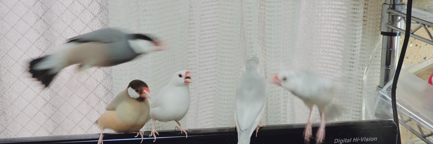 きこ's banner