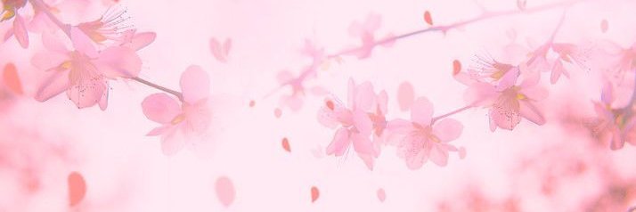 Sarah's banner