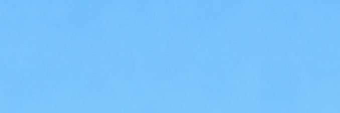 toby 🦖 🧸 ftm boy's banner