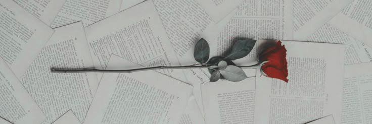Mba Lis🌹's banner