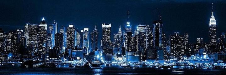 Lily Carter's banner