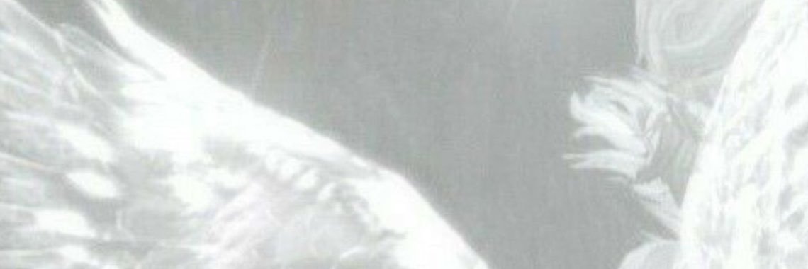 angel's banner